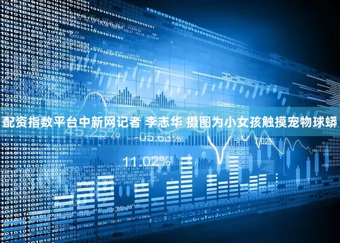 配资指数平台中新网记者 李志华 摄图为小女孩触摸宠物球蟒